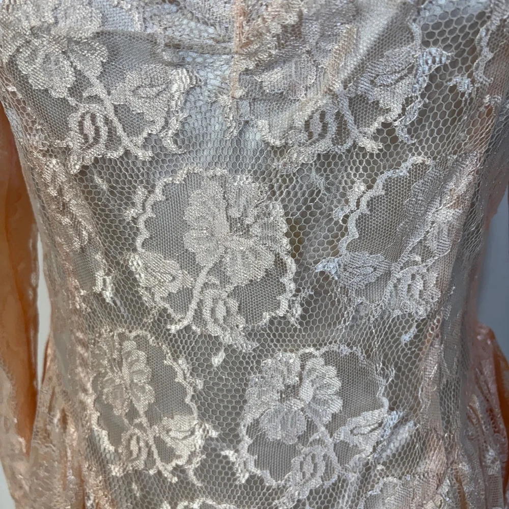 Vintage Scott McClintock Dress Women’s Size 12 Pink Lace Peplum Back Zipper - Picture 2 of 15